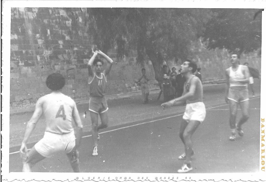 PMO BASKET PMO vivi jus.jpg